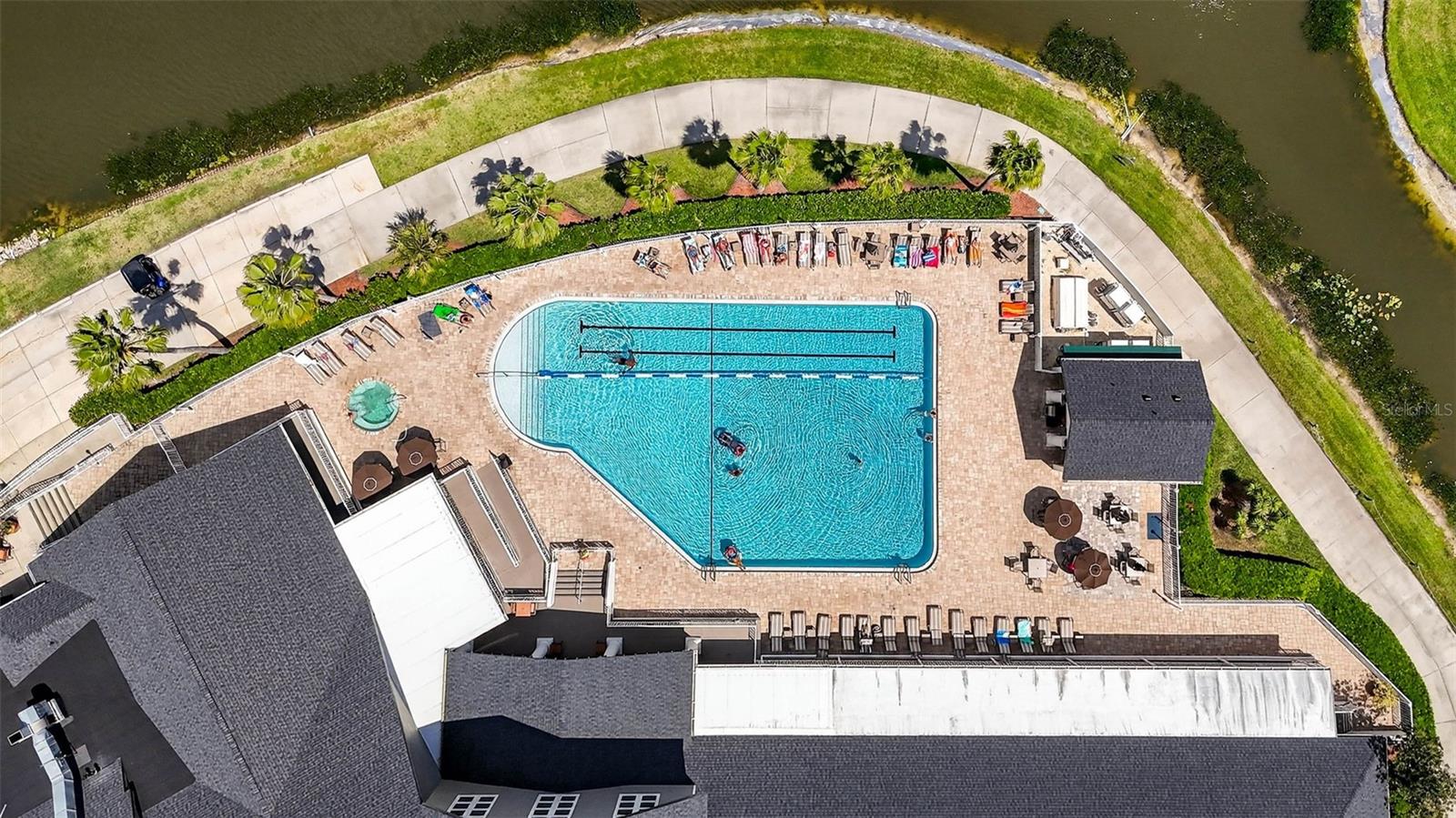 1046 ALMONDWOOD DR, TRINITY, FL, 34655