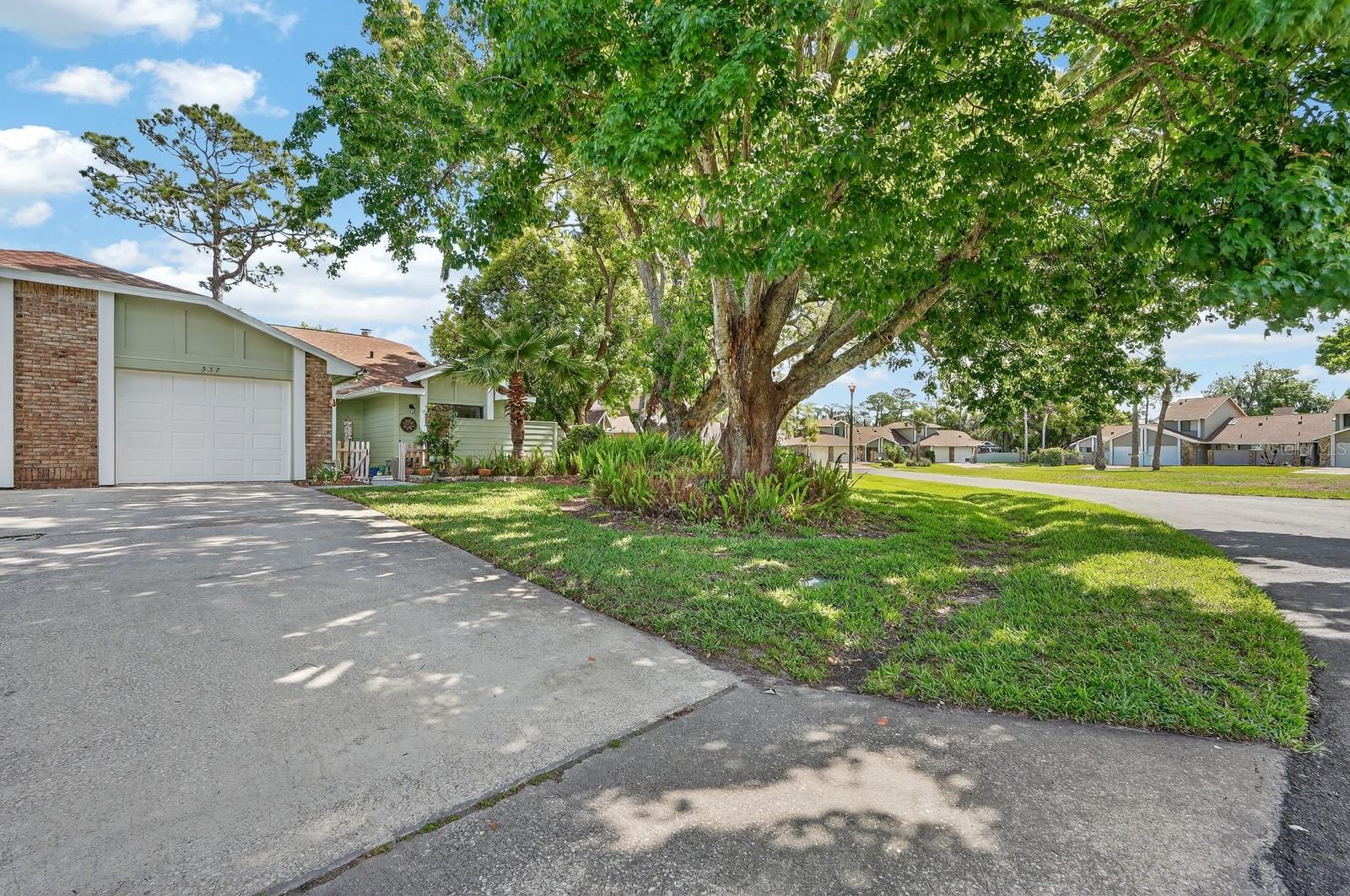 537 BROWN PELICAN DR, DAYTONA BEACH, FL, 32119