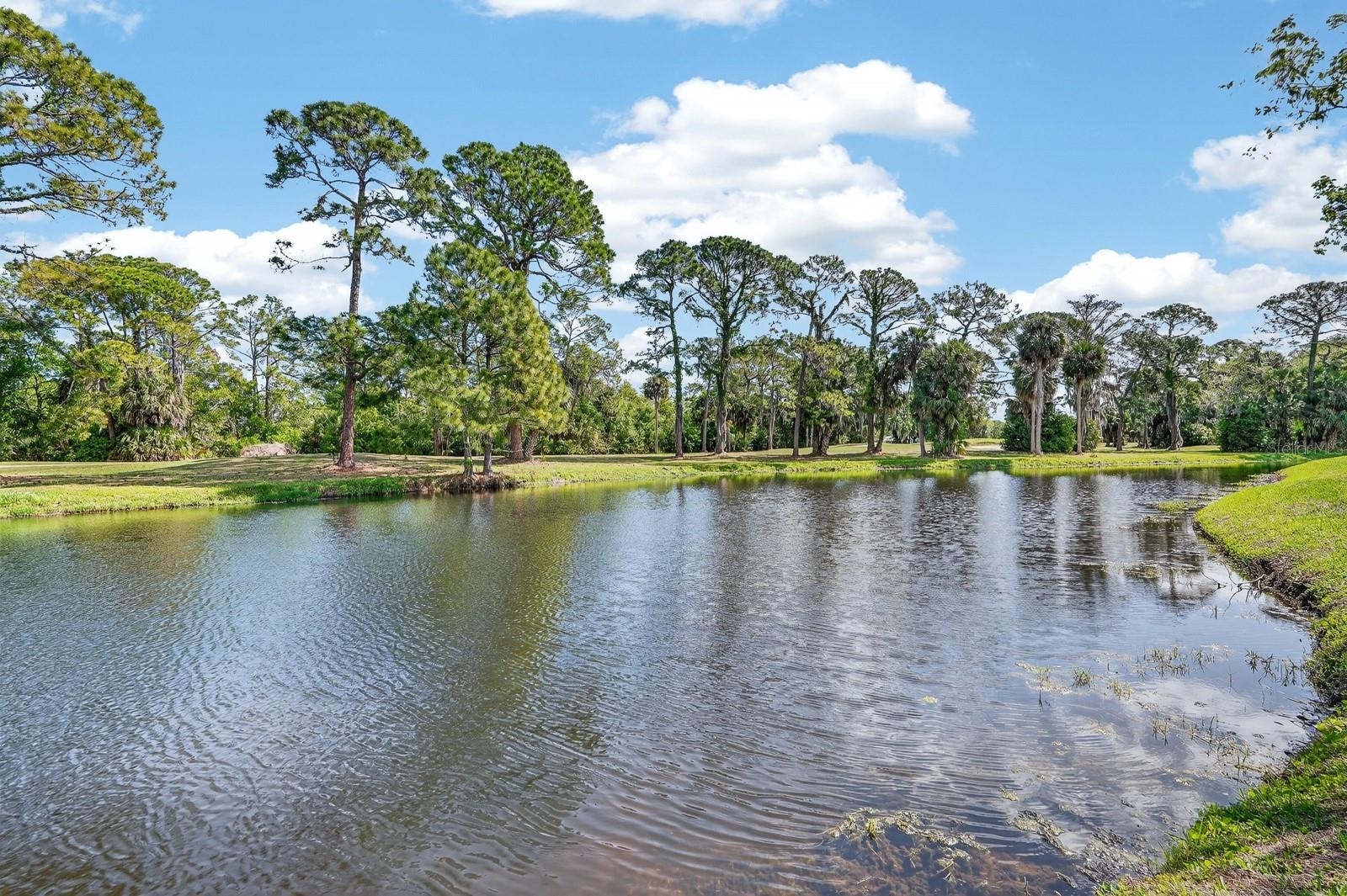 537 BROWN PELICAN DR, DAYTONA BEACH, FL, 32119