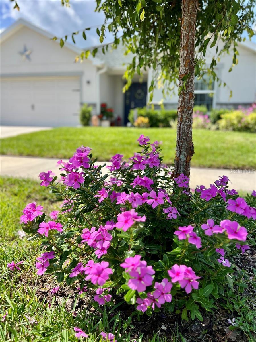 7 POLERMO AVE, ST CLOUD, FL, 34771