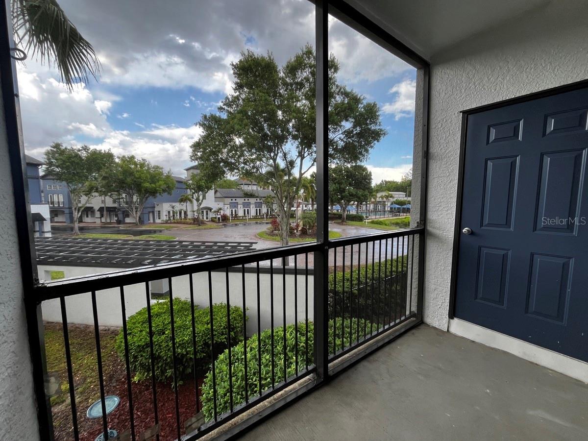 14905 ARBOR SPRINGS CIR #204, TAMPA, FL, 33624