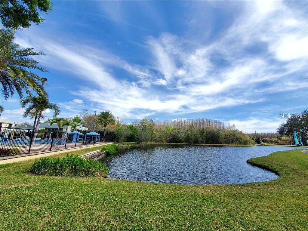 14905 ARBOR SPRINGS CIR #204, TAMPA, FL, 33624