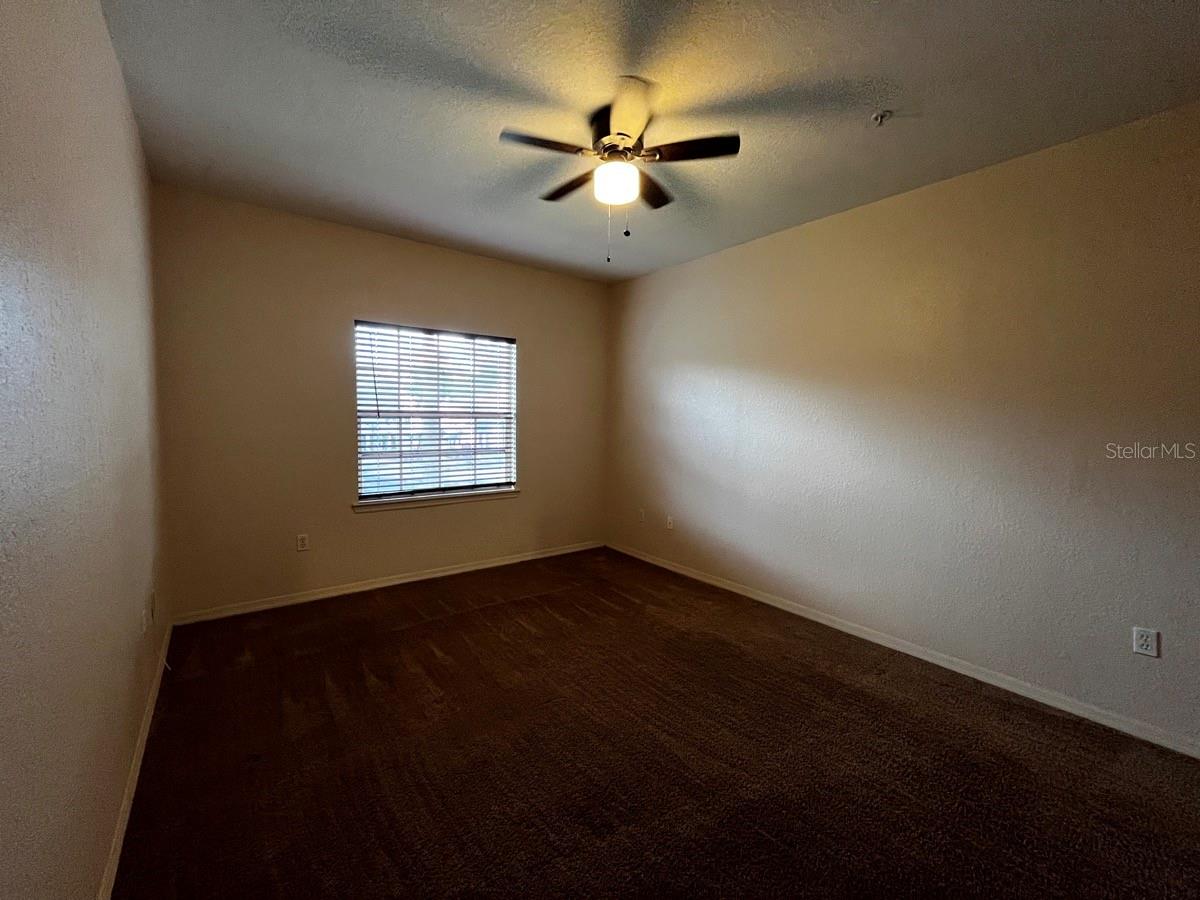 14905 ARBOR SPRINGS CIR #204, TAMPA, FL, 33624