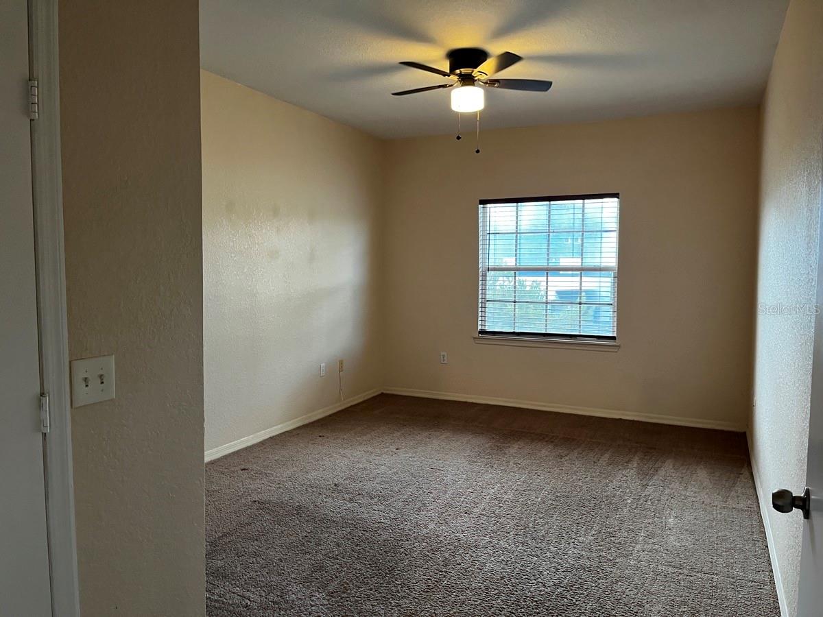 14905 ARBOR SPRINGS CIR #204, TAMPA, FL, 33624