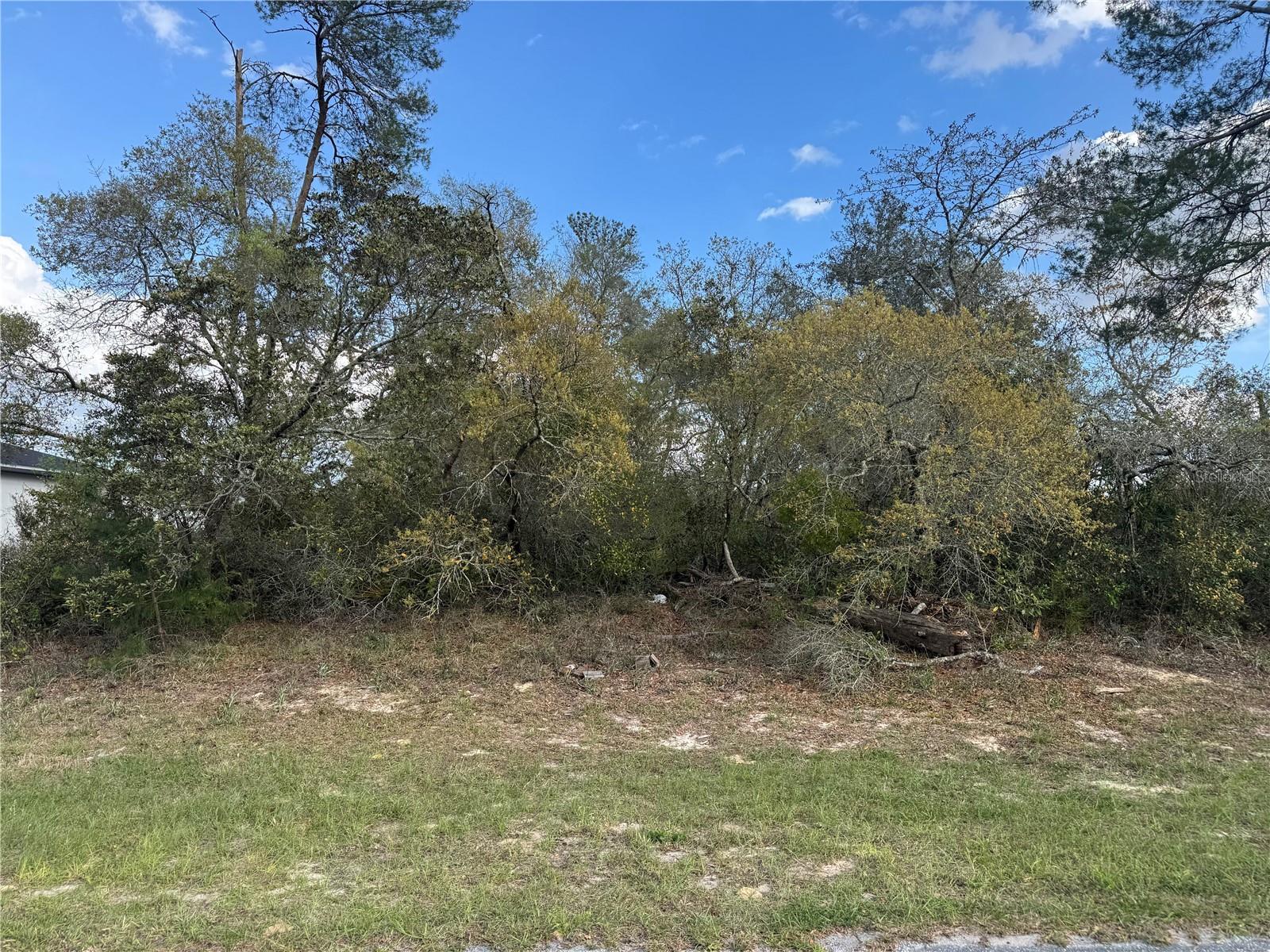TBD MARION OAKS GOLF RD., OCALA, FL, 34473