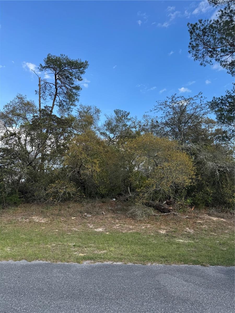 TBD MARION OAKS GOLF RD., OCALA, FL, 34473