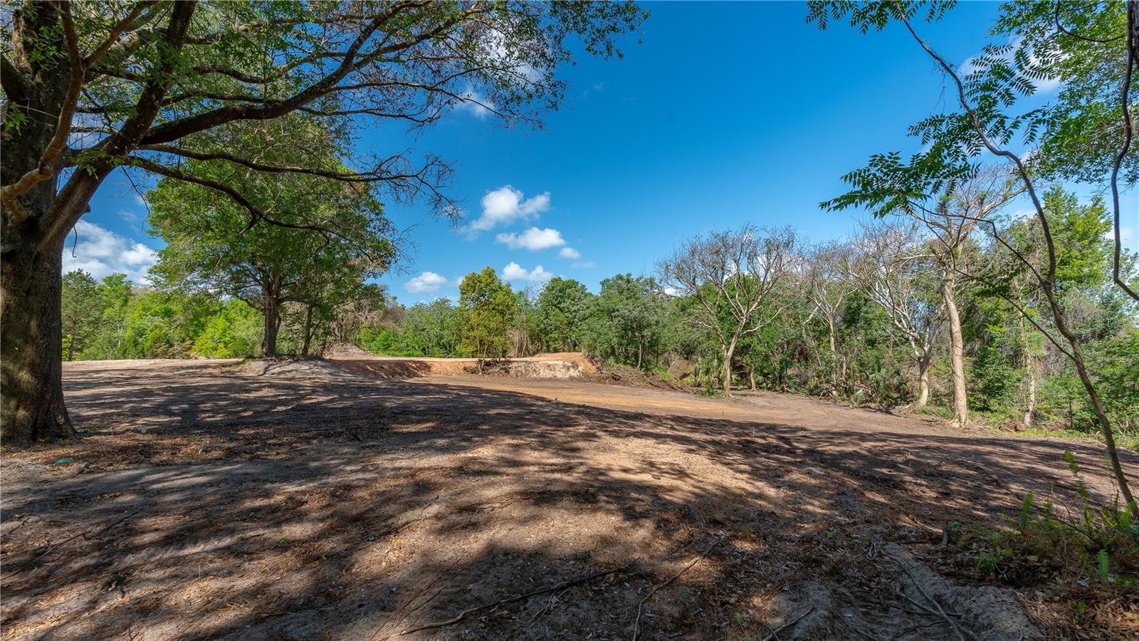 11500 SE 92ND CT, BELLEVIEW, FL, 34420