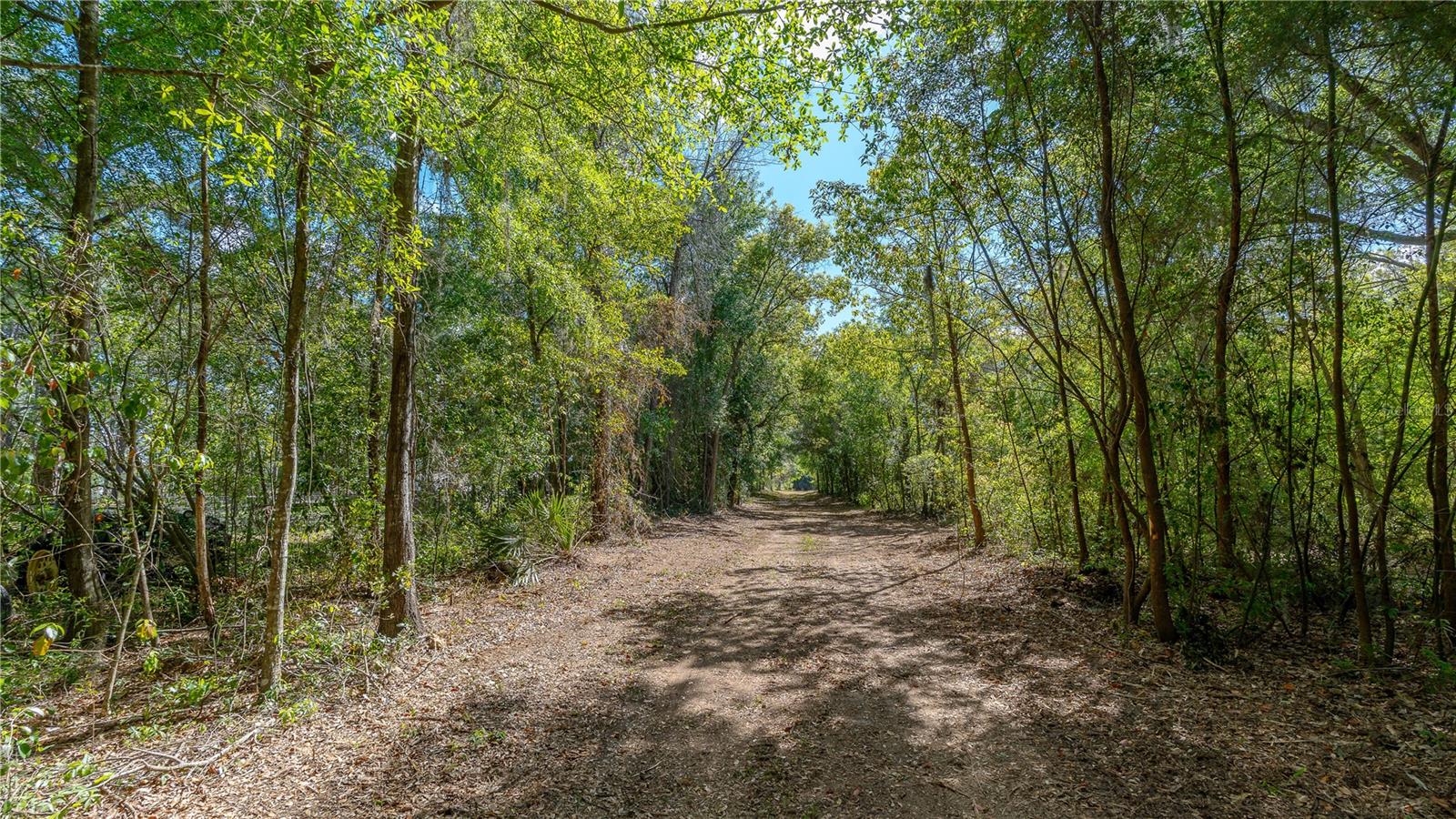 11500 SE 92ND CT, BELLEVIEW, FL, 34420
