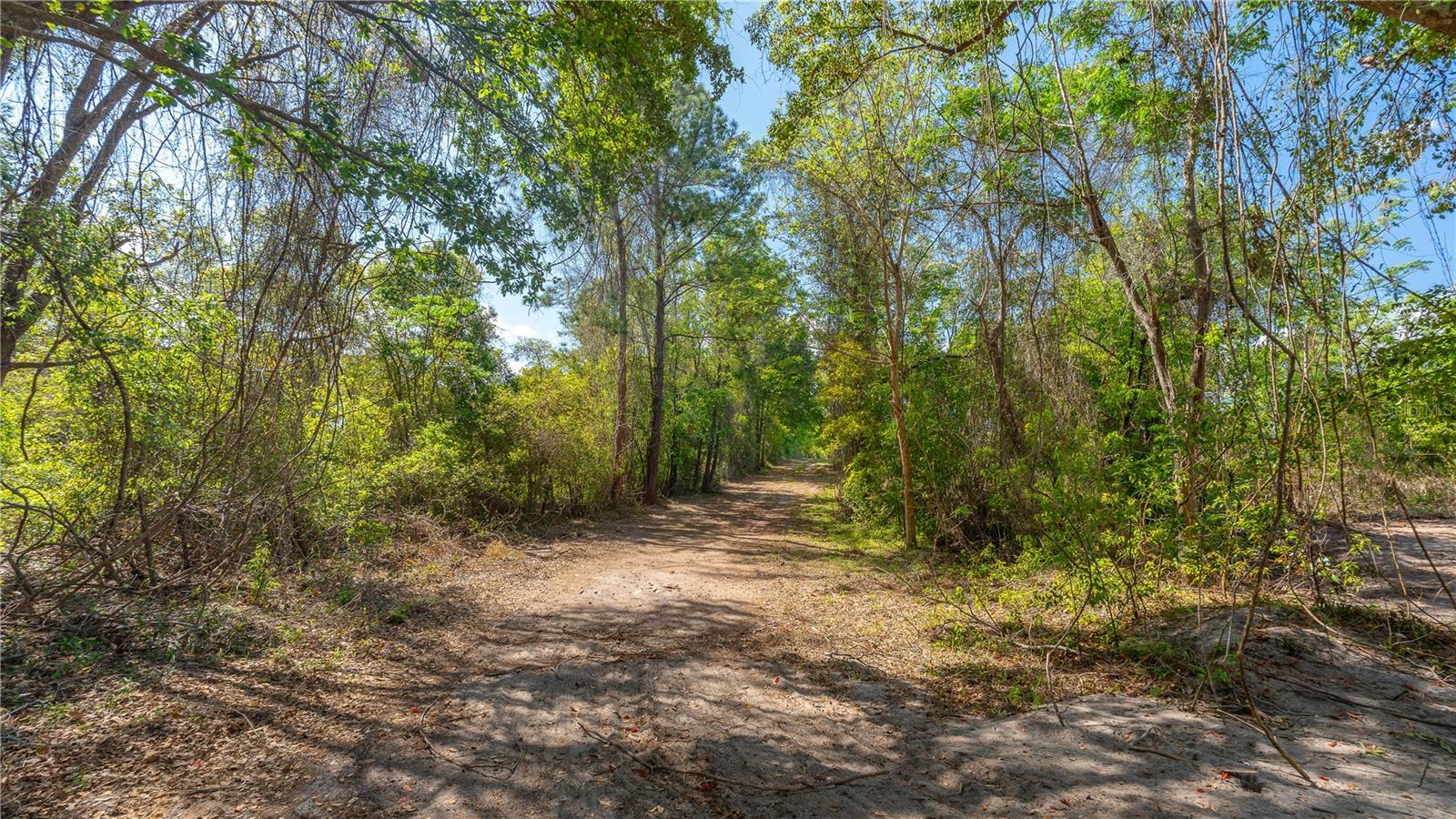 11500 SE 92ND CT, BELLEVIEW, FL, 34420