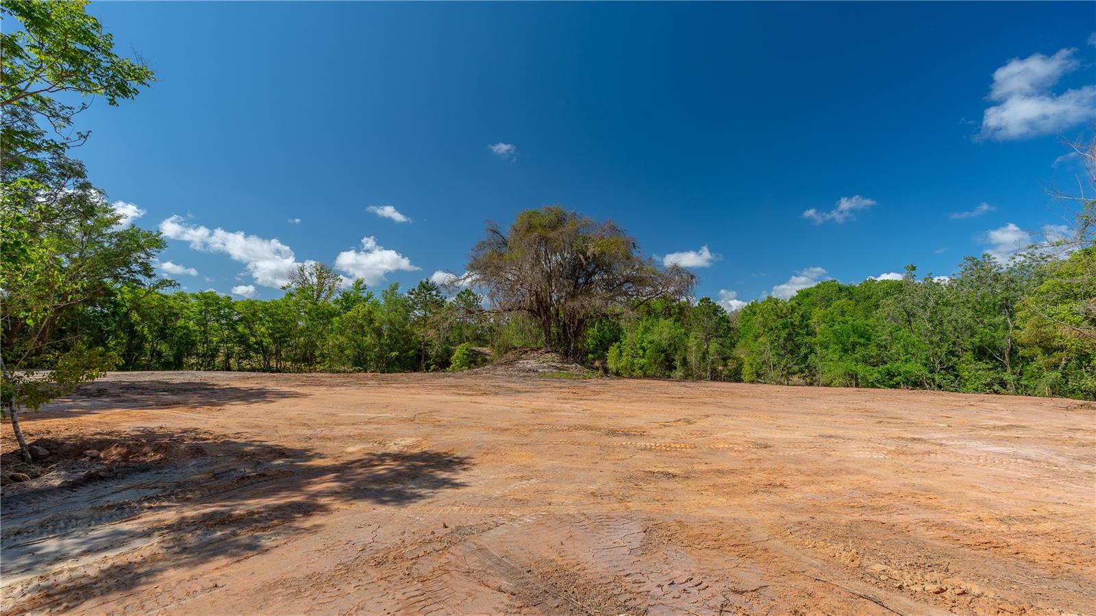 11500 SE 92ND CT, BELLEVIEW, FL, 34420