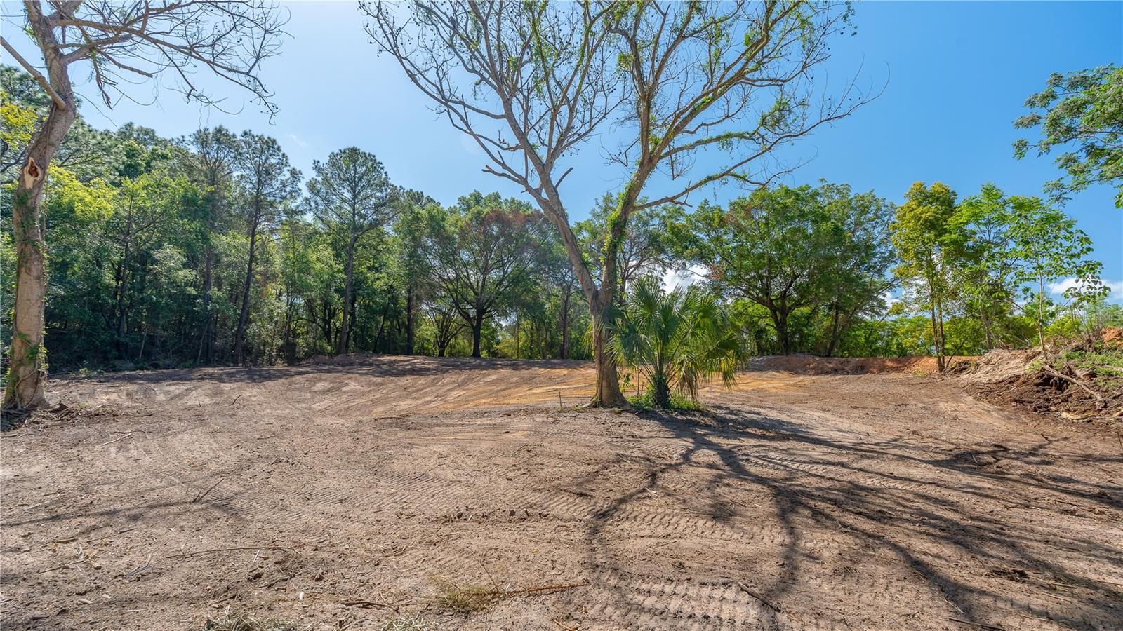 11500 SE 92ND CT, BELLEVIEW, FL, 34420