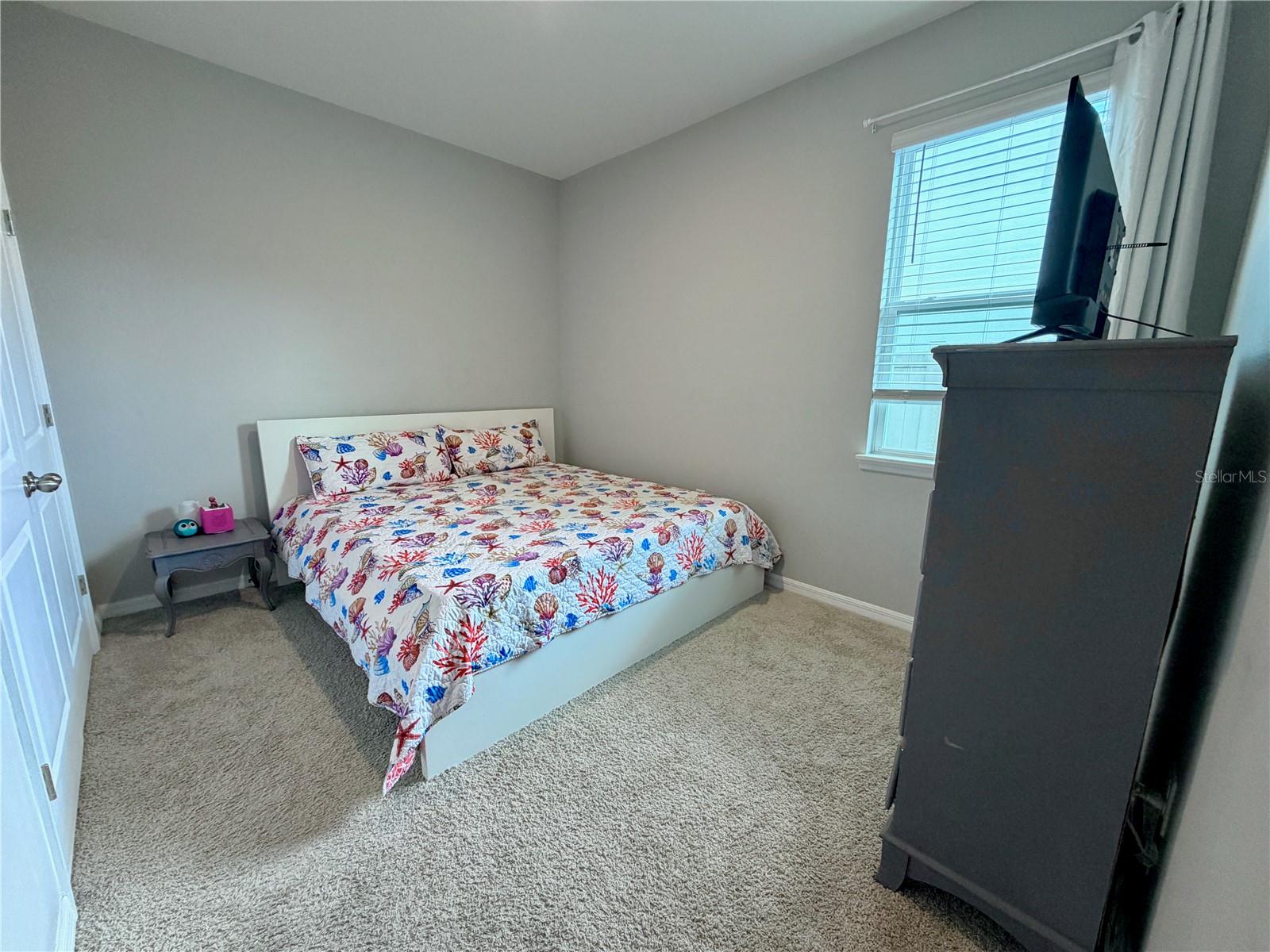 1160 BERING RD, WESLEY CHAPEL, FL, 33543