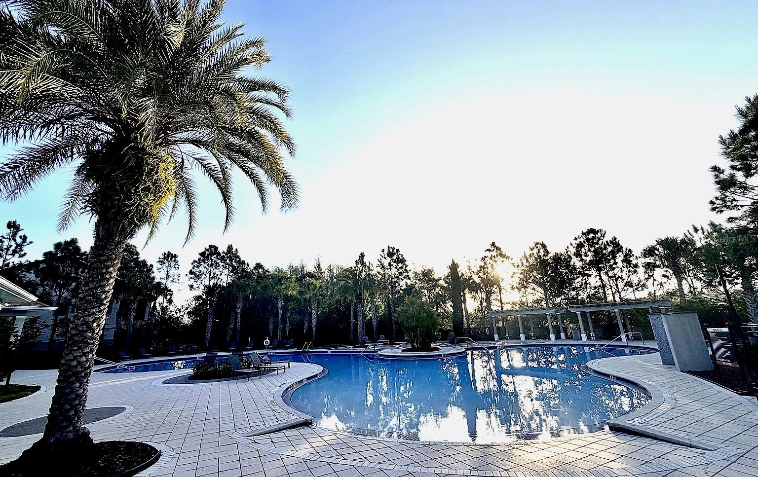 1160 BERING RD, WESLEY CHAPEL, FL, 33543