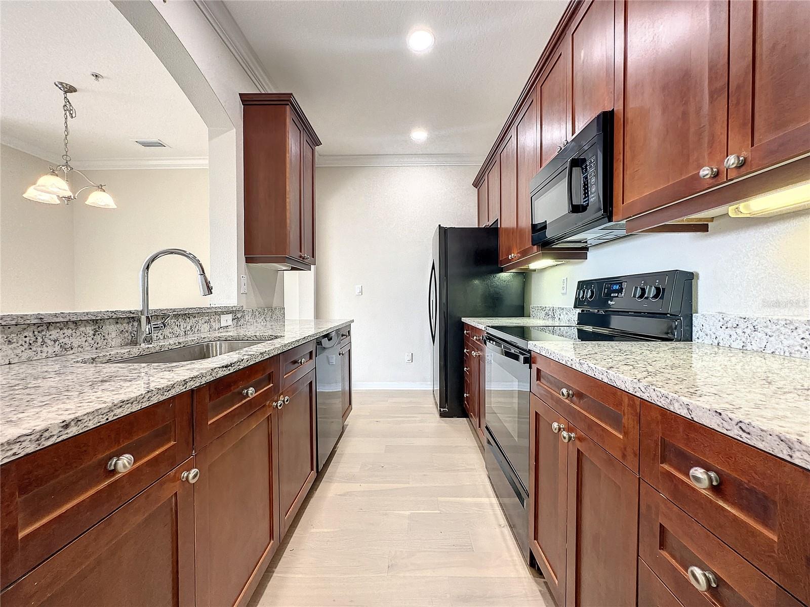 11564 MIZZON DR #304, WINDERMERE, FL, 34786