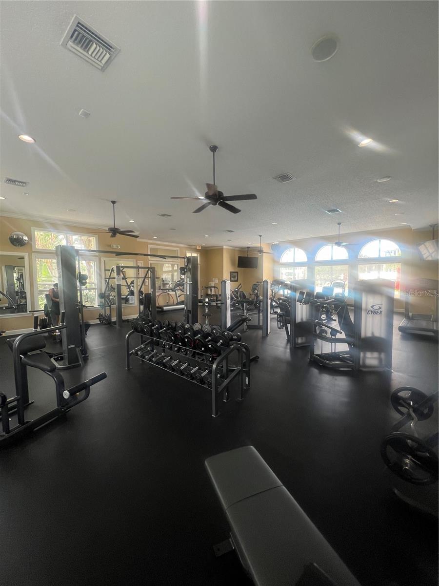 11564 MIZZON DR #304, WINDERMERE, FL, 34786