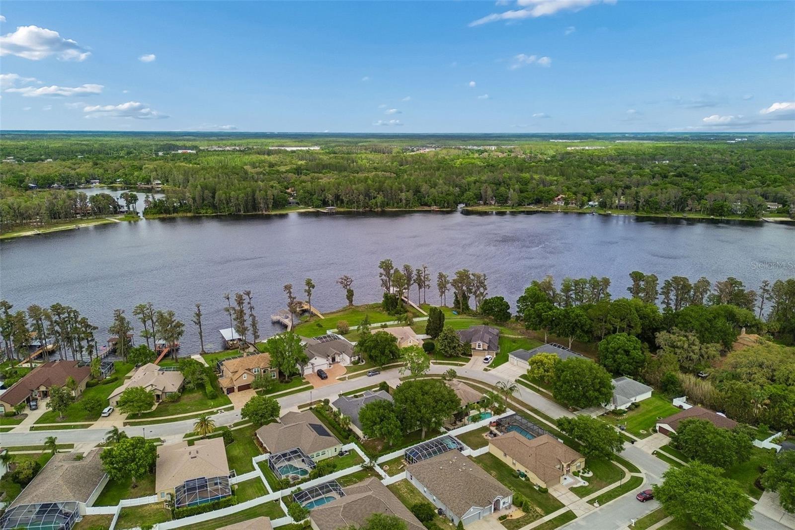 1311 WYNDHAM LAKES DR, ODESSA, FL, 33556