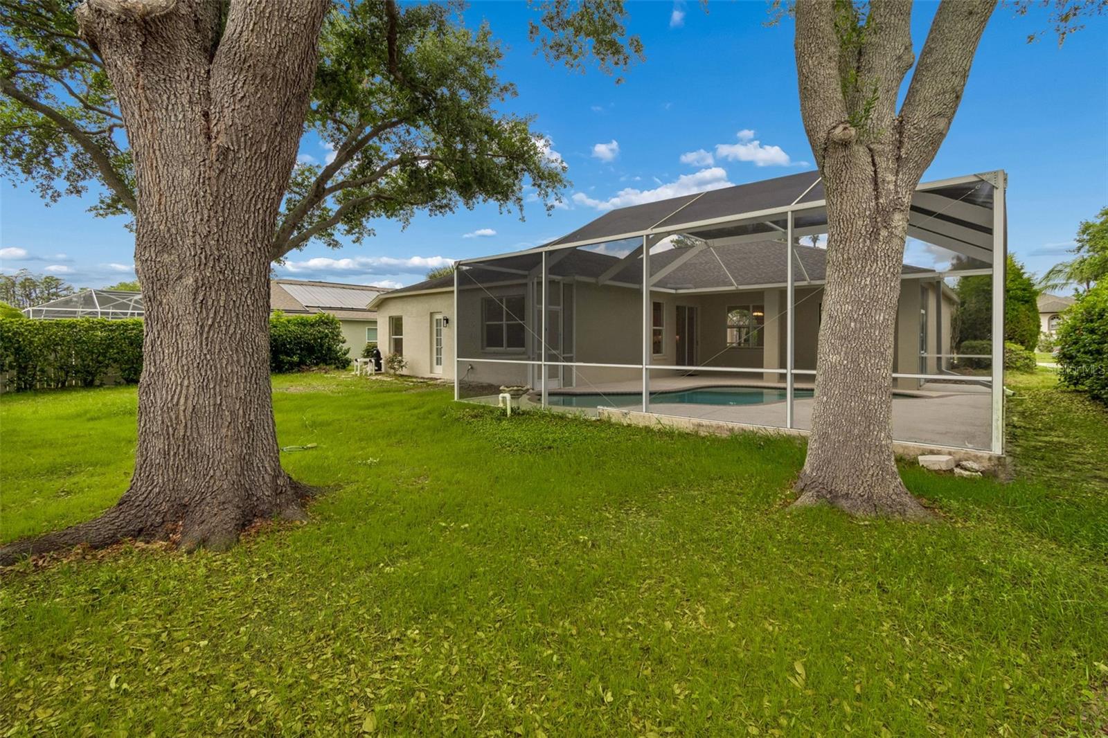 1311 WYNDHAM LAKES DR, ODESSA, FL, 33556