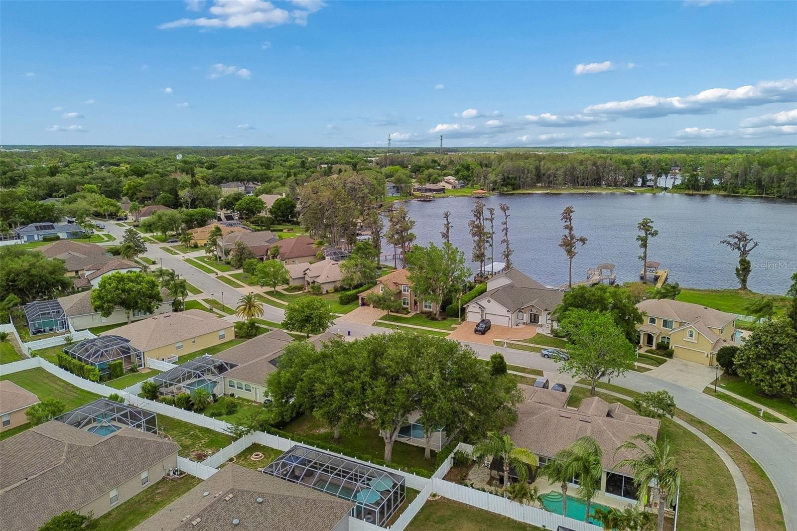 1311 WYNDHAM LAKES DR, ODESSA, FL, 33556