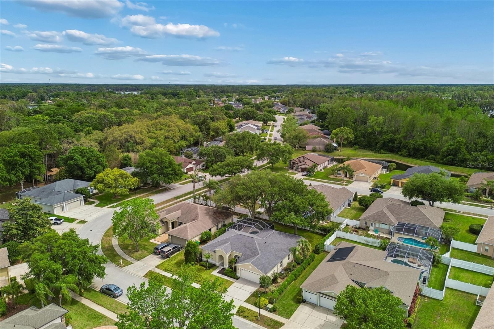 1311 WYNDHAM LAKES DR, ODESSA, FL, 33556