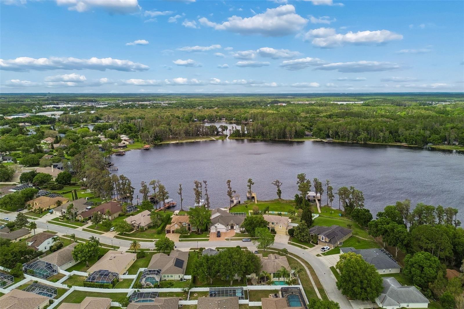 1311 WYNDHAM LAKES DR, ODESSA, FL, 33556