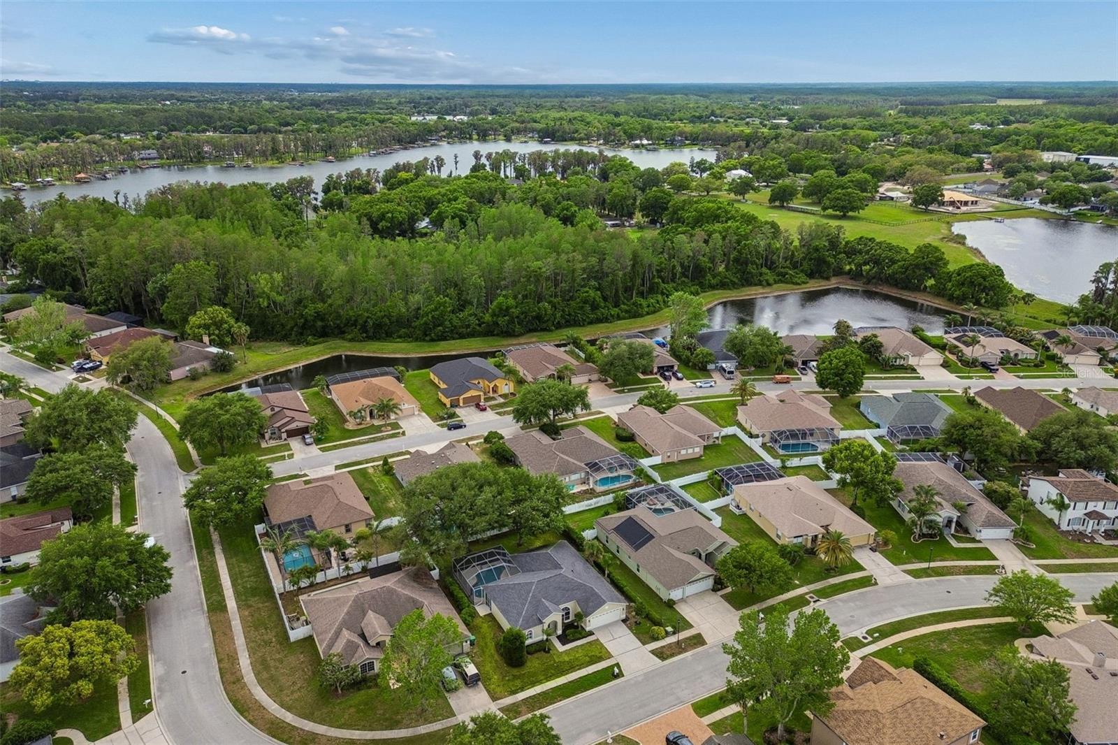 1311 WYNDHAM LAKES DR, ODESSA, FL, 33556