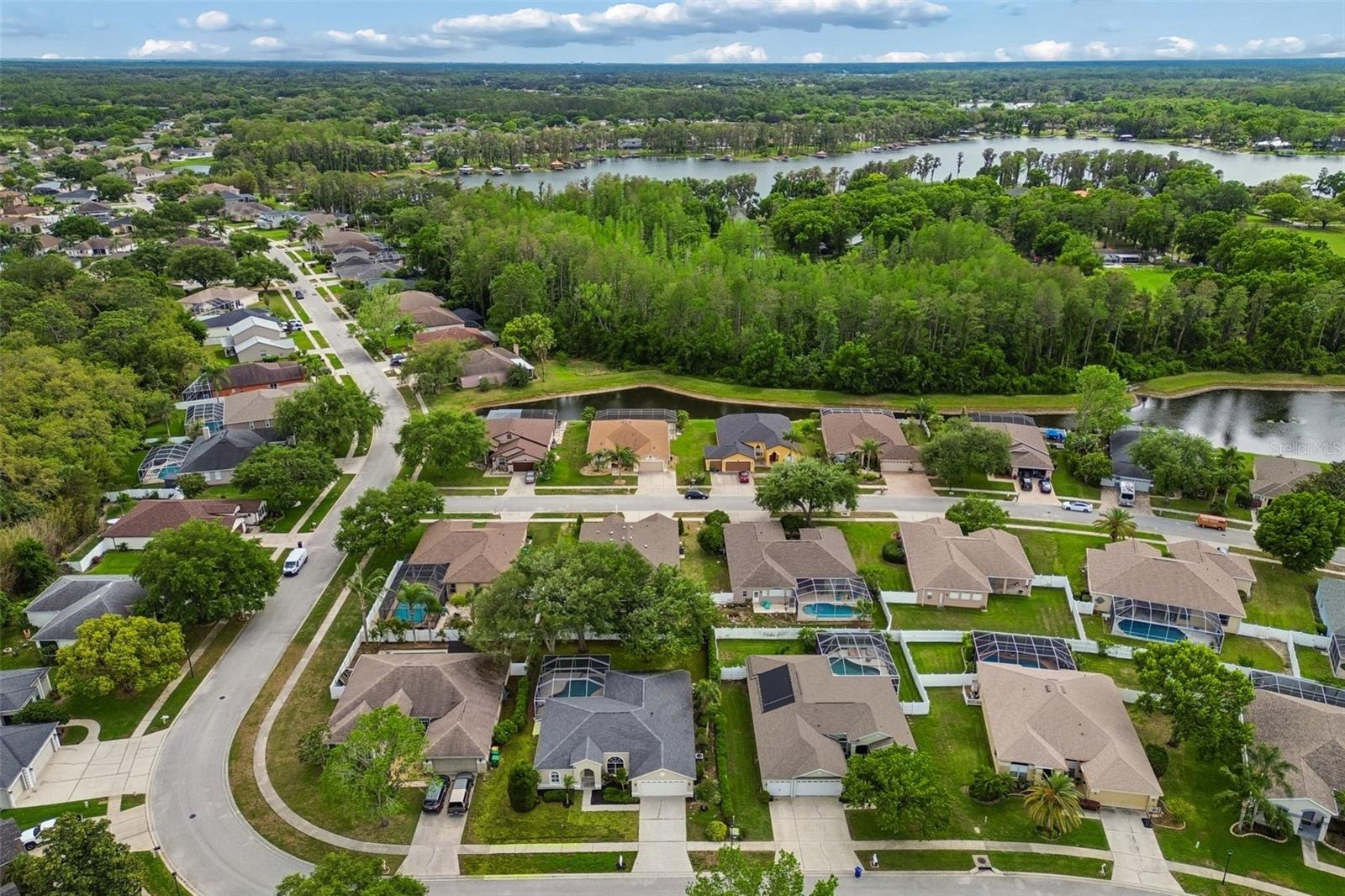 1311 WYNDHAM LAKES DR, ODESSA, FL, 33556