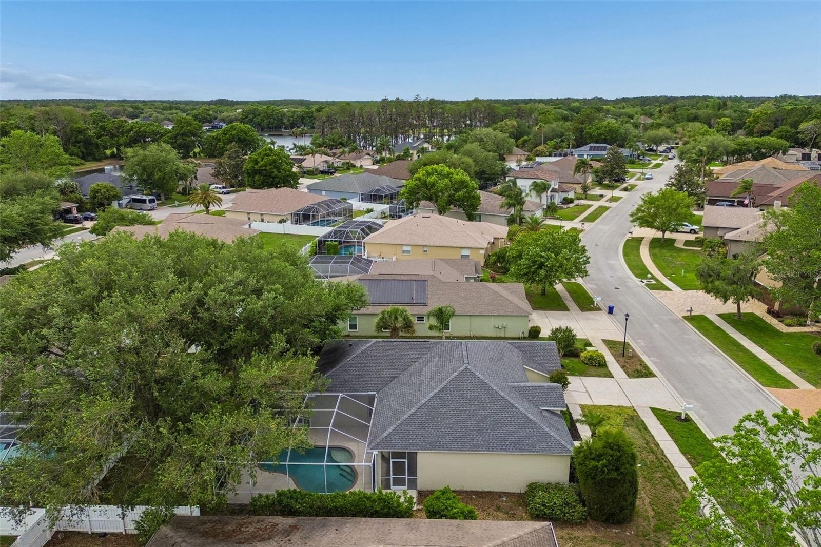 1311 WYNDHAM LAKES DR, ODESSA, FL, 33556