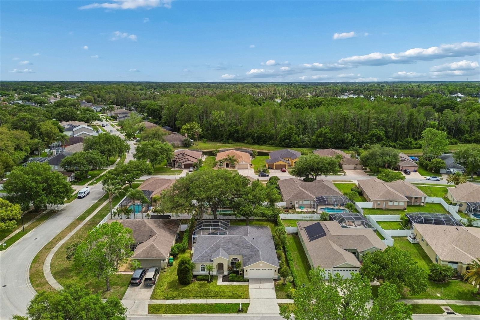 1311 WYNDHAM LAKES DR, ODESSA, FL, 33556