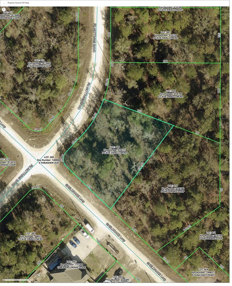 16008 CAVE SWALLOW RD, BROOKSVILLE, FL, 34614