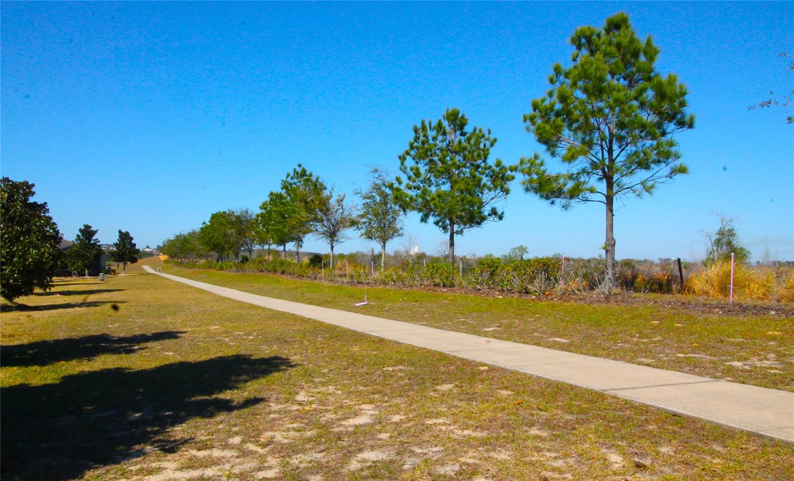 3752 QUAINT LN, CLERMONT, FL, 34711