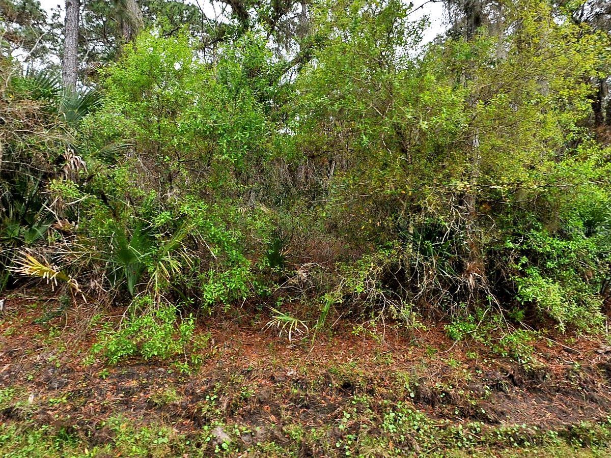 HURDLE RD., NORTH PORT, FL, 34291