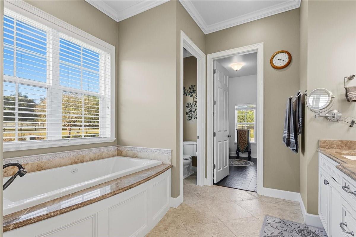 10401 NW 153RD TER, ALACHUA, FL, 32615