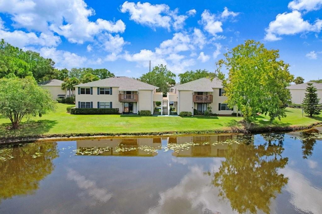 137 HUNTER LAKE DR #C, OLDSMAR, FL, 34677