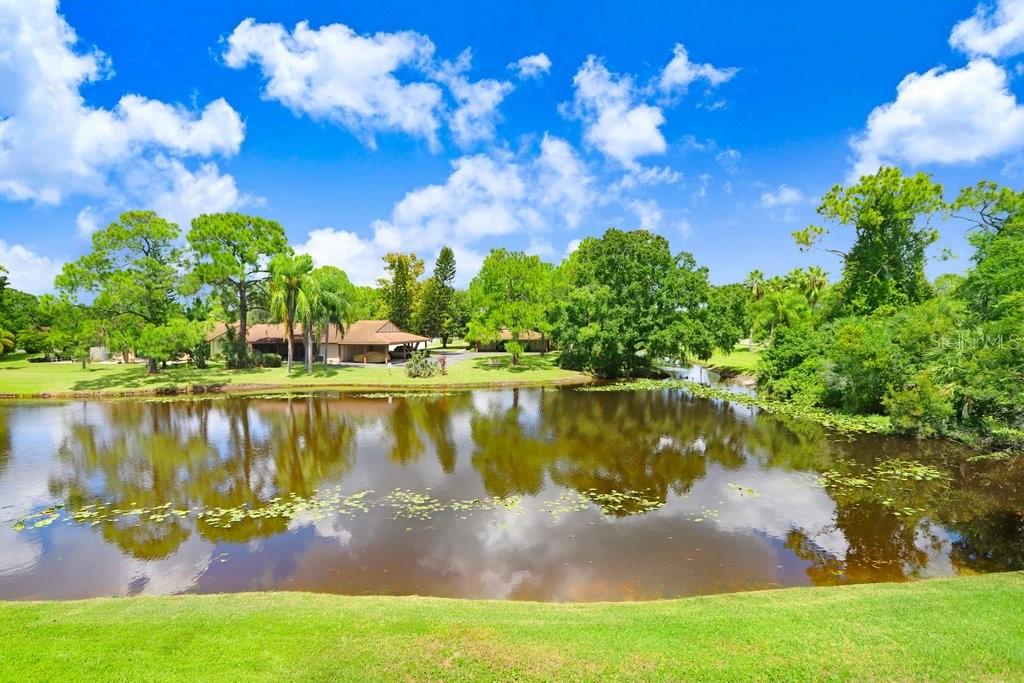 137 HUNTER LAKE DR #C, OLDSMAR, FL, 34677