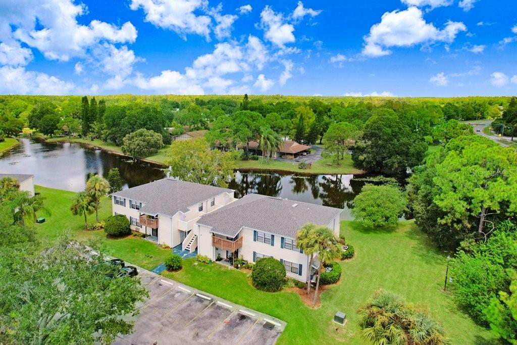 137 HUNTER LAKE DR #C, OLDSMAR, FL, 34677