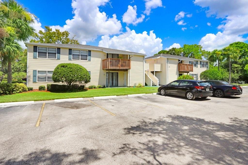 137 HUNTER LAKE DR #C, OLDSMAR, FL, 34677