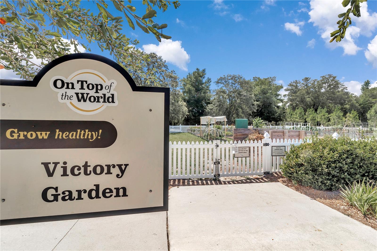 9185 SW 90TH ST, OCALA, FL, 34481