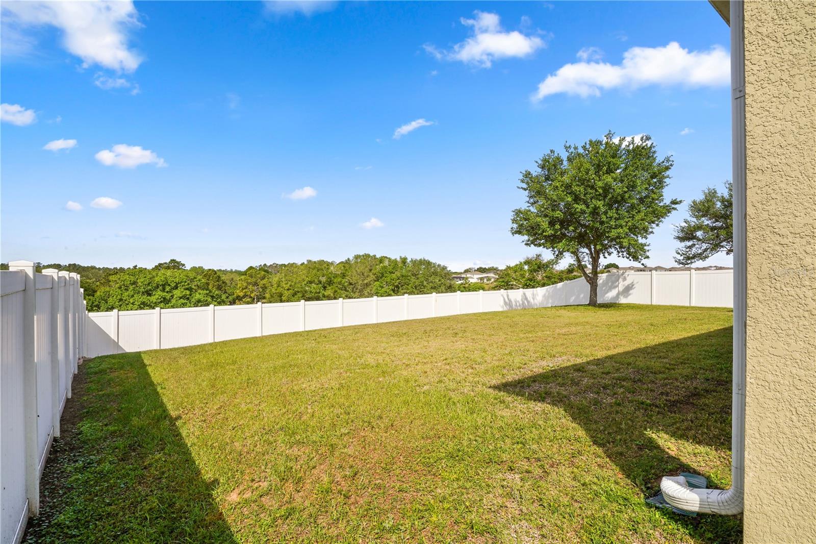 222 BLACKSTONE CREEK RD, GROVELAND, FL, 34736