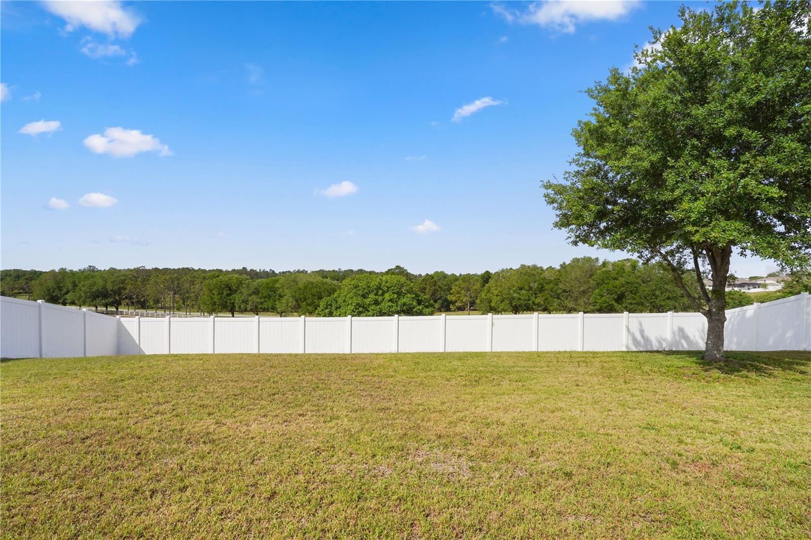 222 BLACKSTONE CREEK RD, GROVELAND, FL, 34736