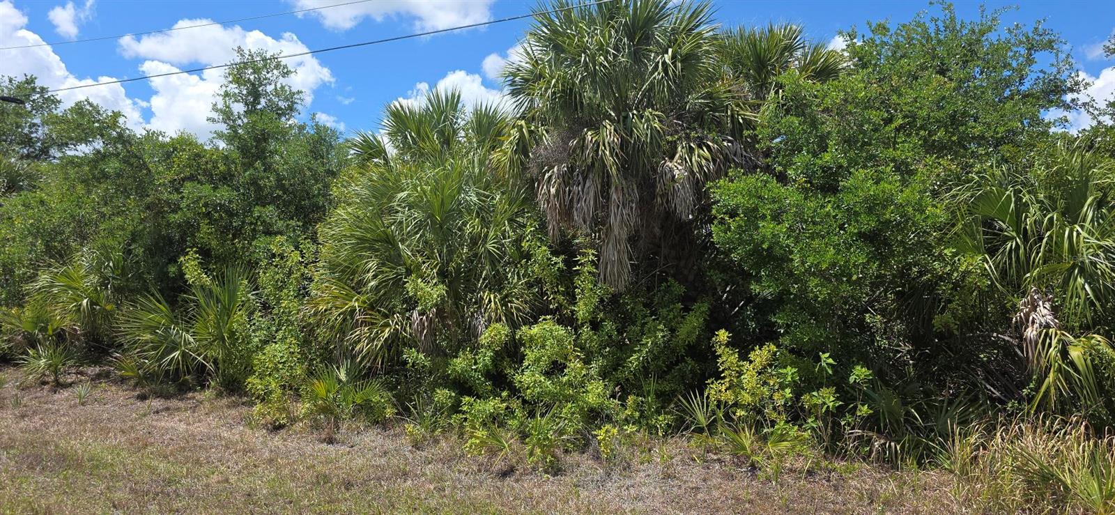 6979 TREADWAY RD, PORT CHARLOTTE, FL, 33981