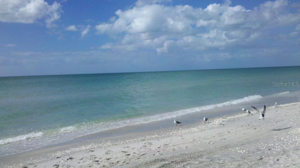 6979 TREADWAY RD, PORT CHARLOTTE, FL, 33981