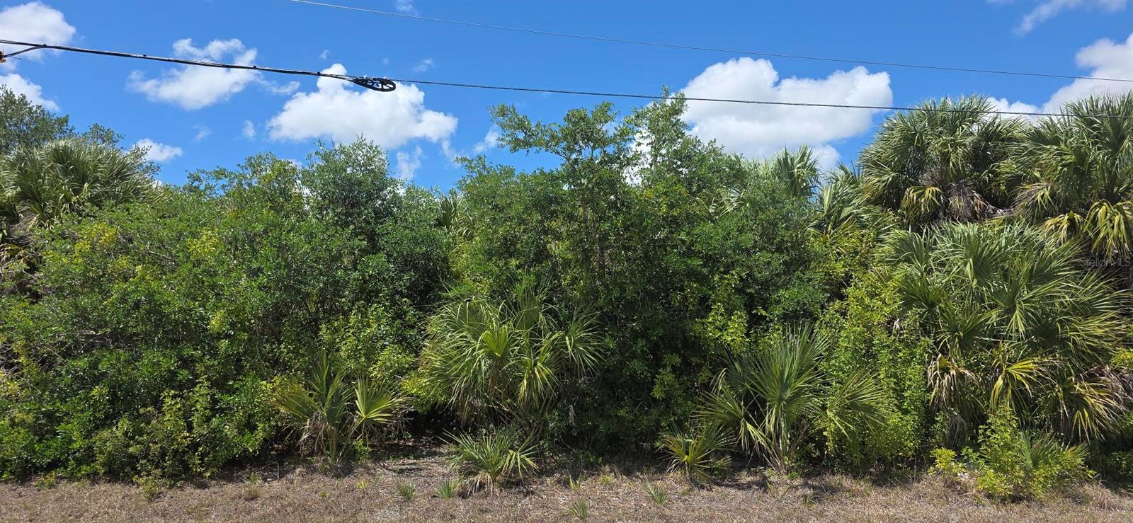 6979 TREADWAY RD, PORT CHARLOTTE, FL, 33981