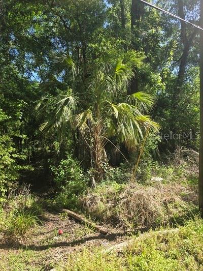 0 FORT DADE AVE, BROOKSVILLE, FL, 34601