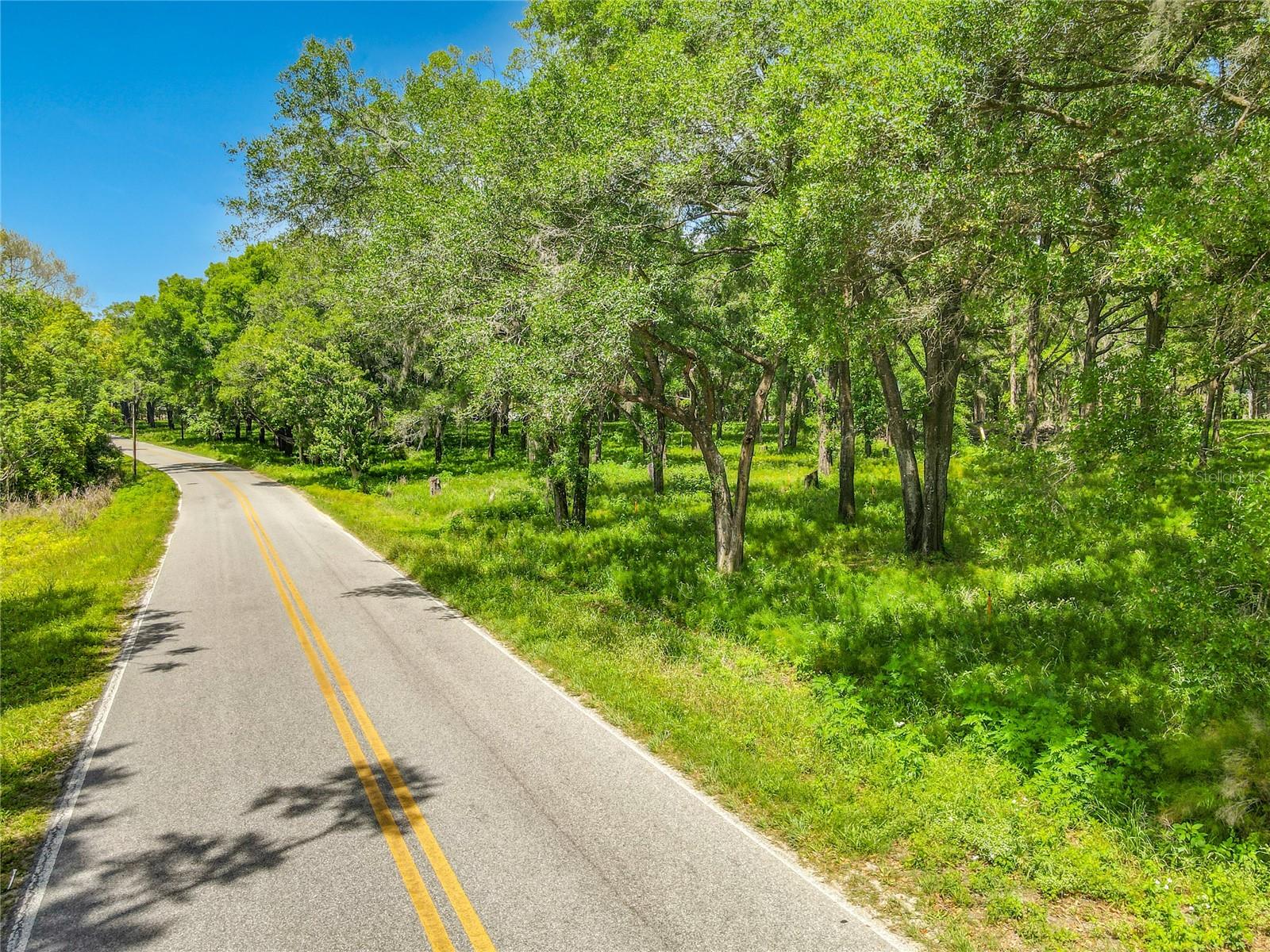 164 DENVER RD, CRESCENT CITY, FL, 32112