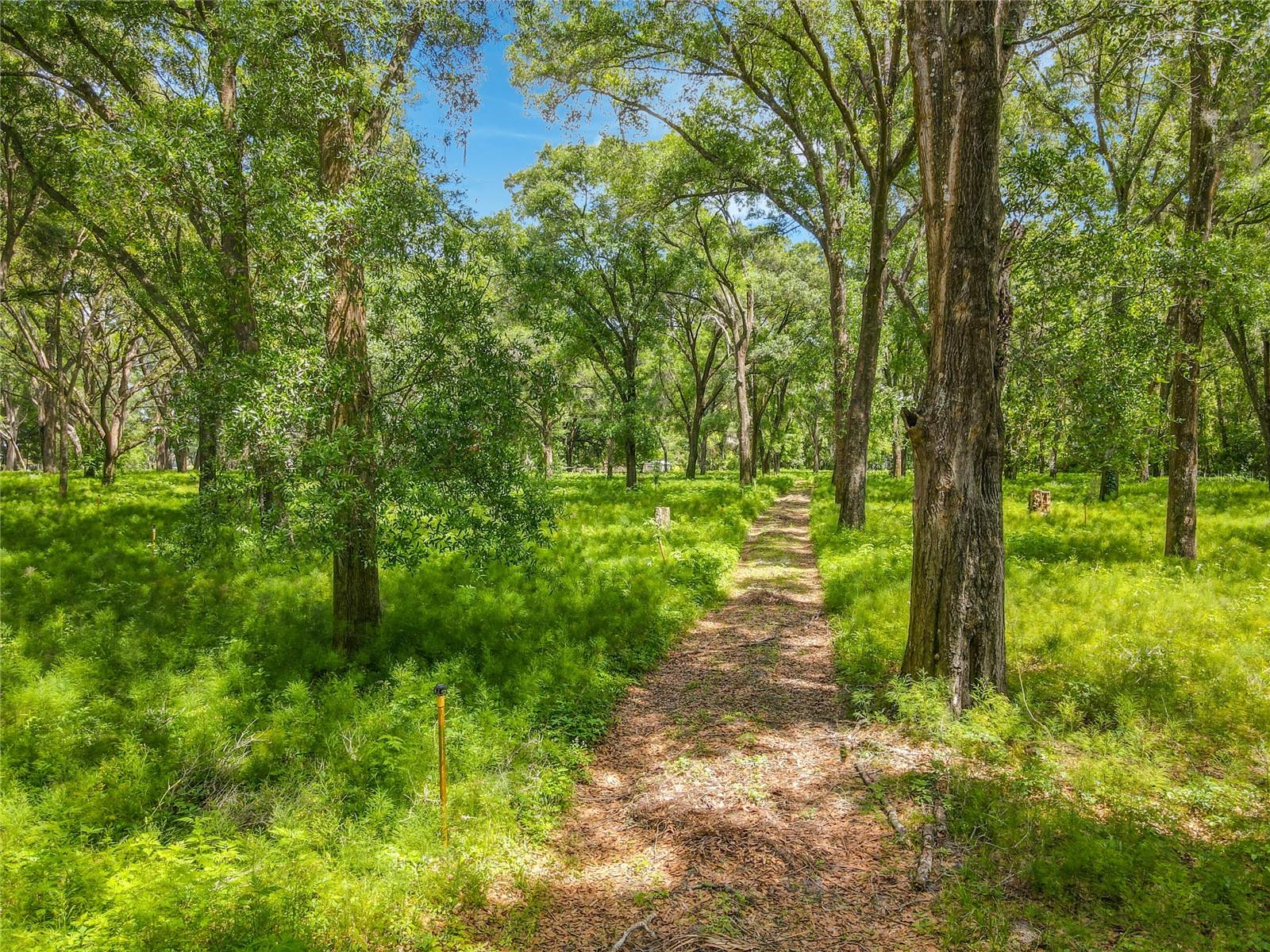 164 DENVER RD, CRESCENT CITY, FL, 32112