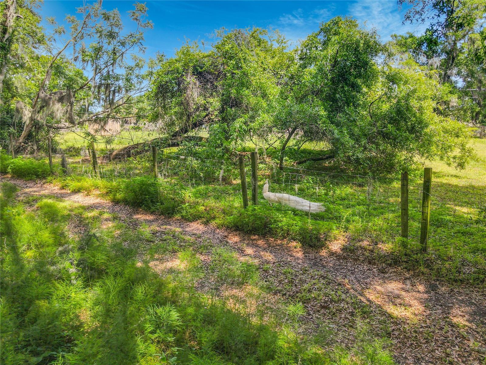 164 DENVER RD, CRESCENT CITY, FL, 32112