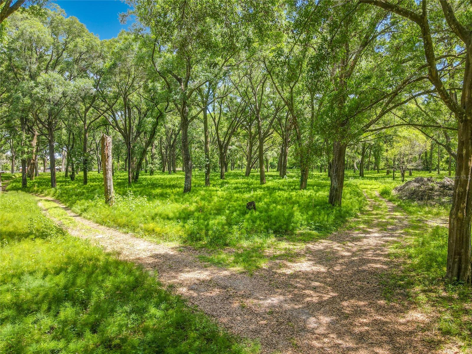 164 DENVER RD, CRESCENT CITY, FL, 32112