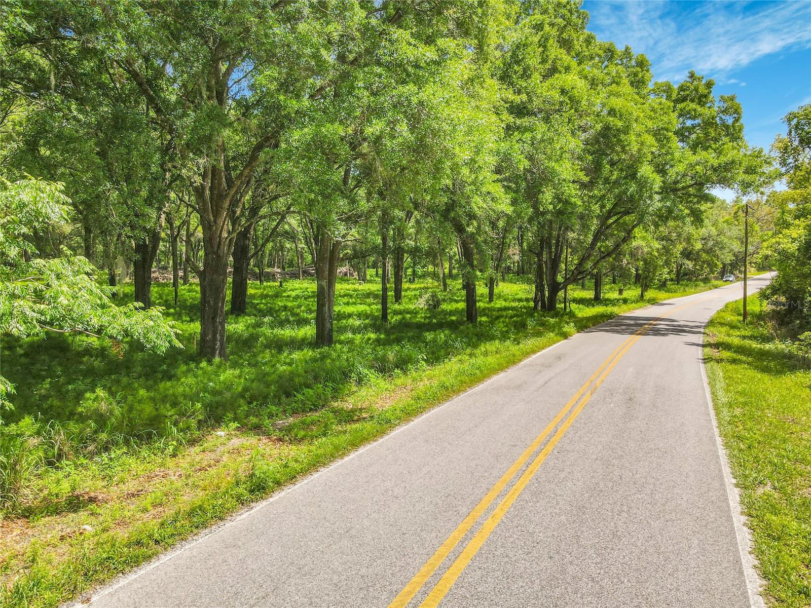 164 DENVER RD, CRESCENT CITY, FL, 32112