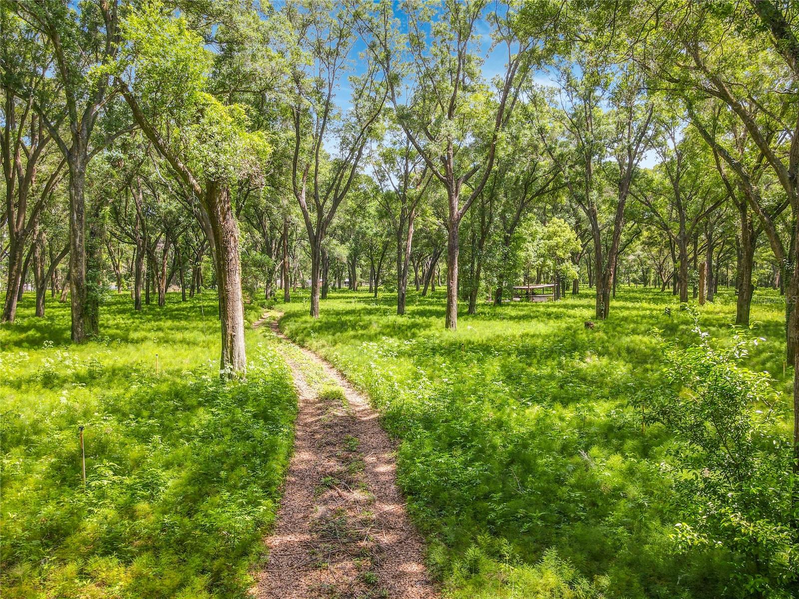 164 DENVER RD, CRESCENT CITY, FL, 32112