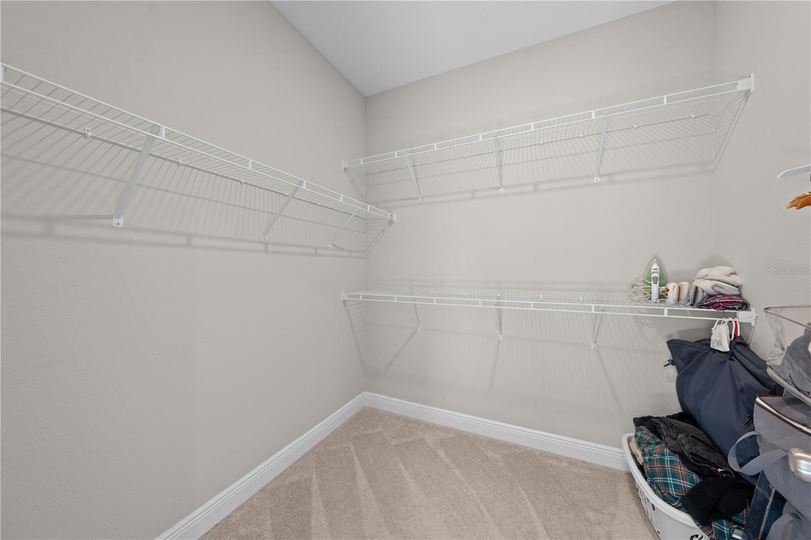 31041 JAZZ LEAF PL, SAN ANTONIO, FL, 33576